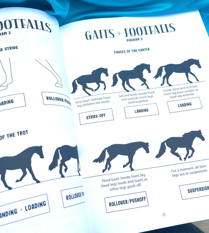 Western Riding Lessons & Activities Workbook