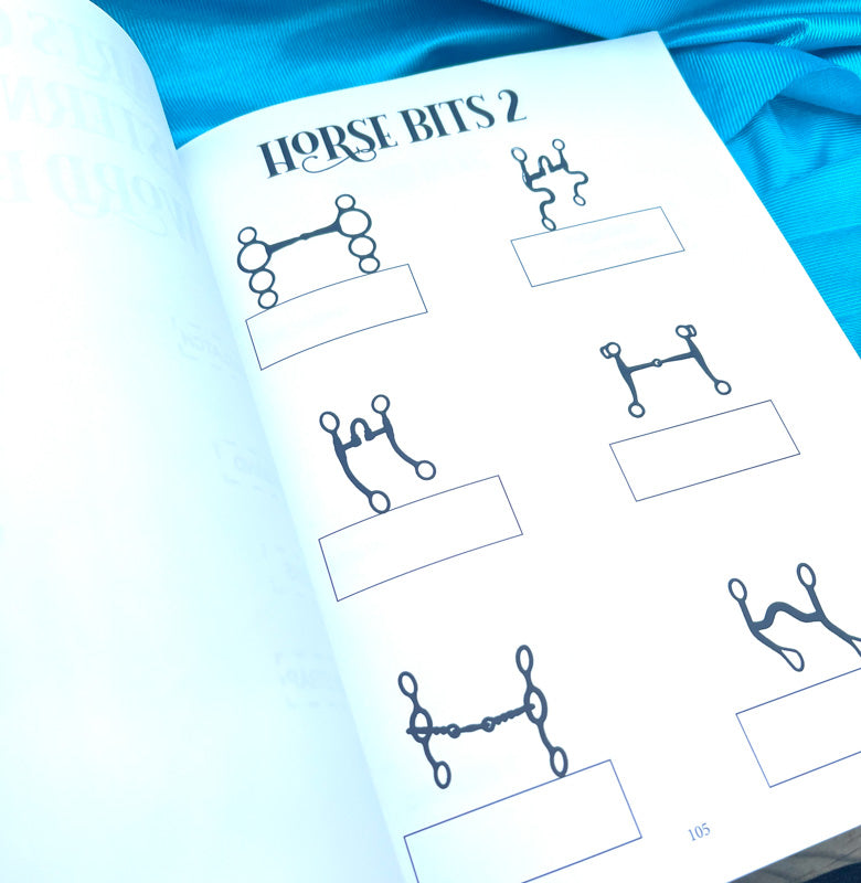 Western Riding Lessons & Activities Workbook