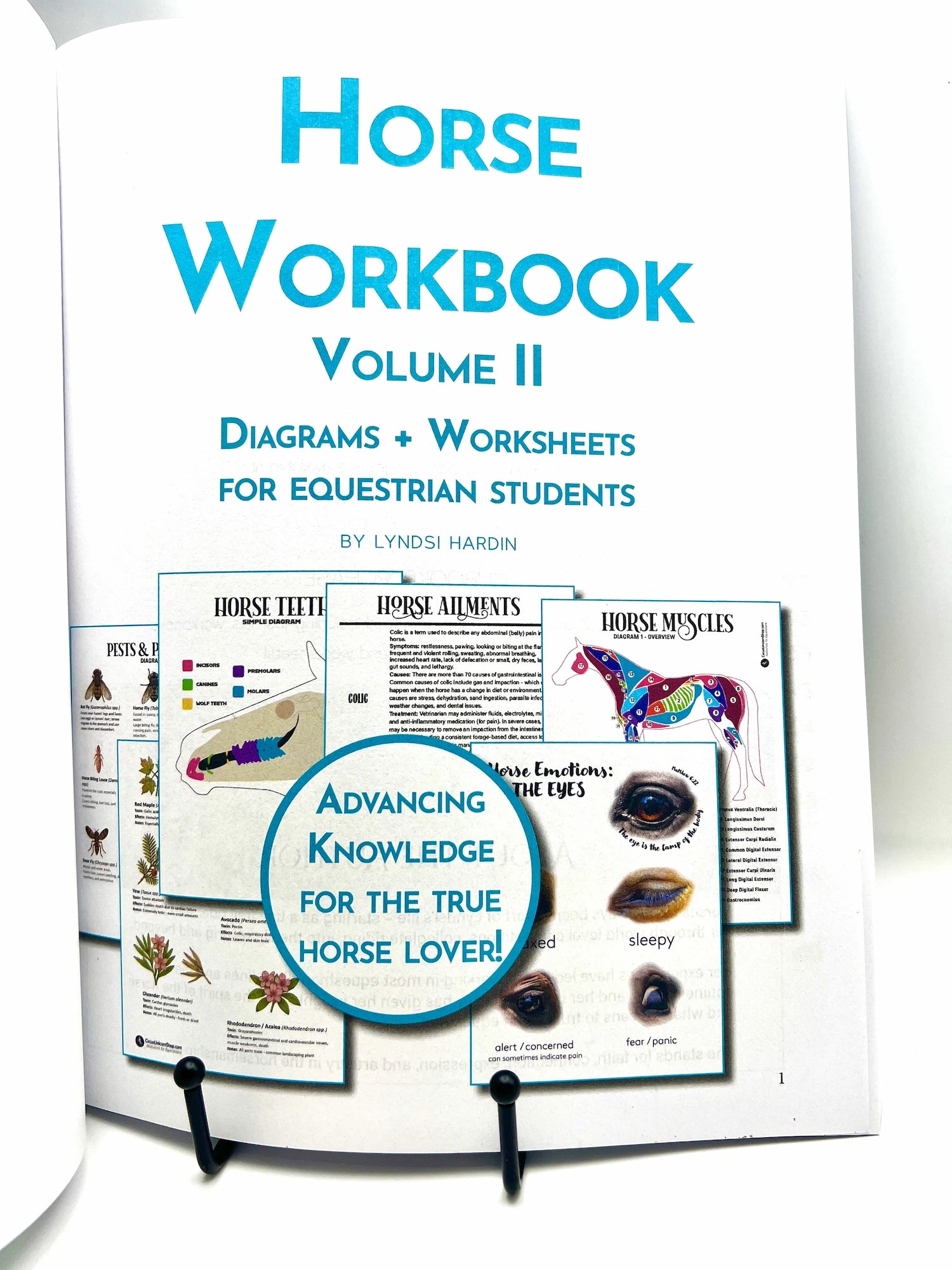 The Horse Workbook Vol. II