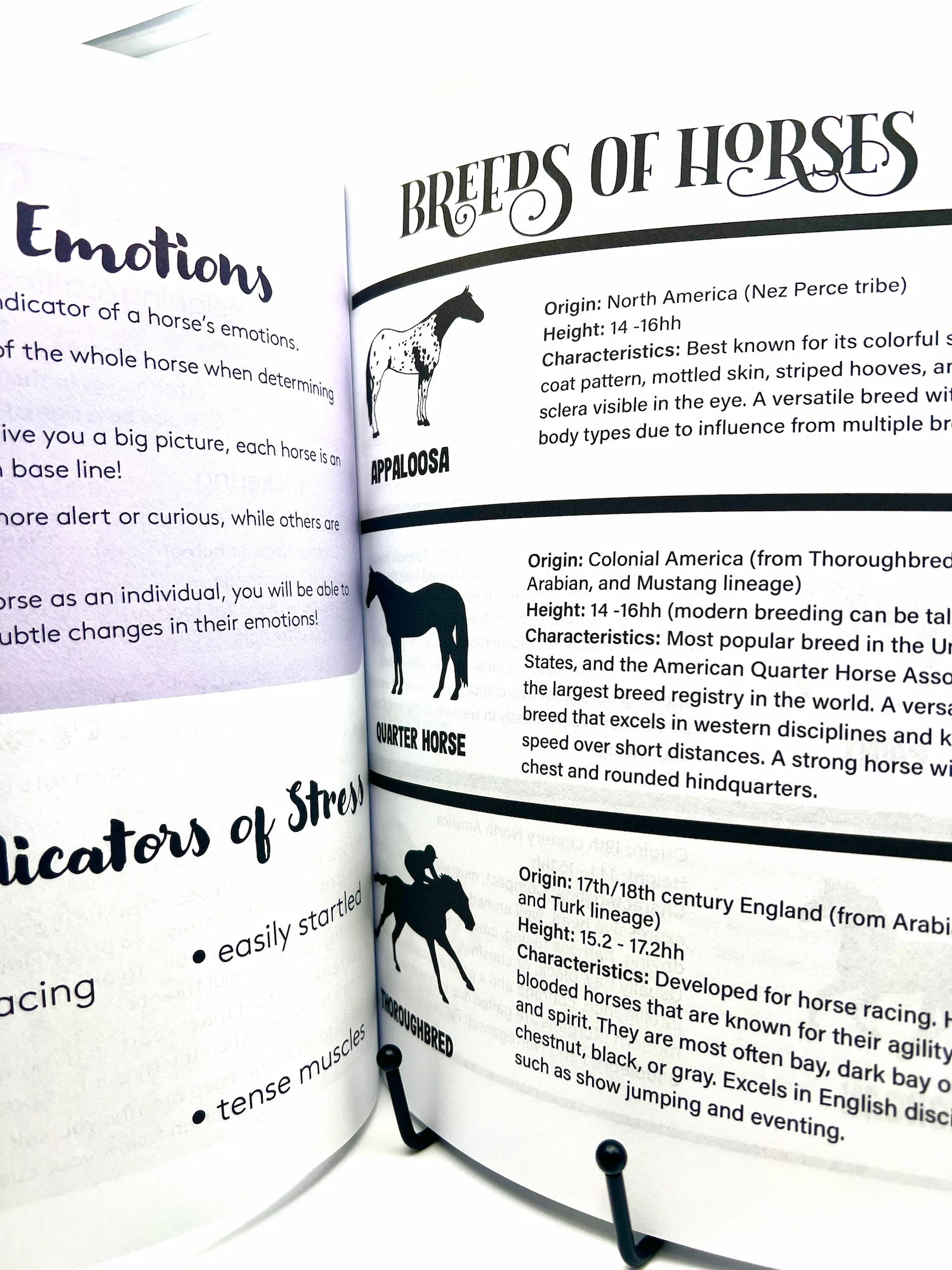 The Horse Workbook Vol. II