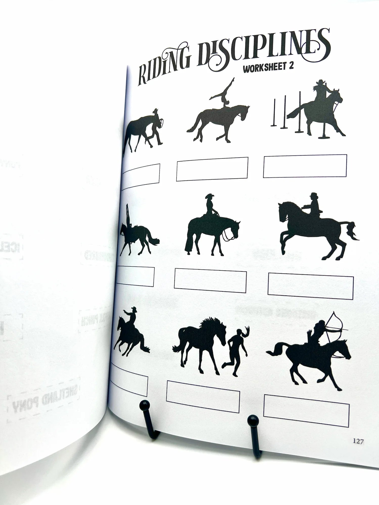 The Horse Workbook Vol. II