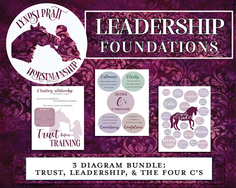 Horse Leadership Foundations Bundle #1 (Horsemanship by Lyndsi)