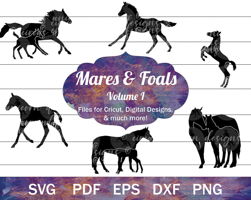 The Mare and Foal SVG Bundle