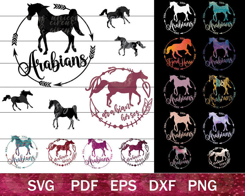 Arabian Horse SVG Bundle (Badges)