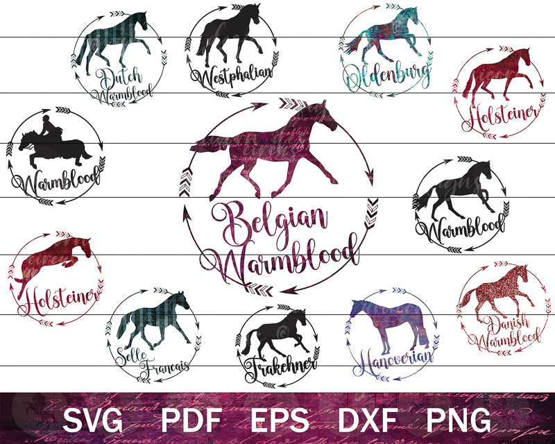 Warmblood Horse SVG Bundle (Badges)