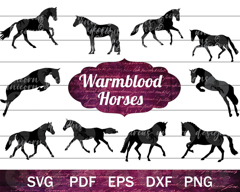 Warmblood Horse SVG Bundle