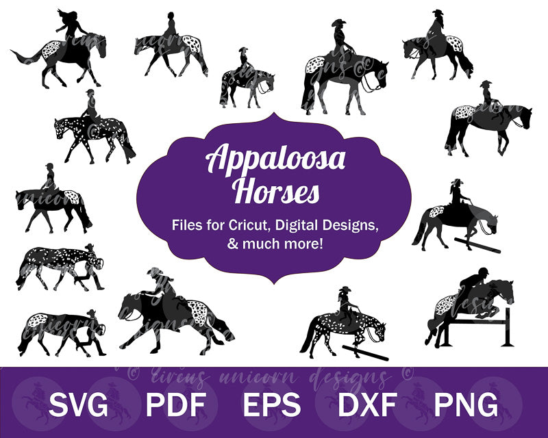 Appaloosa Horse SVG Bundle