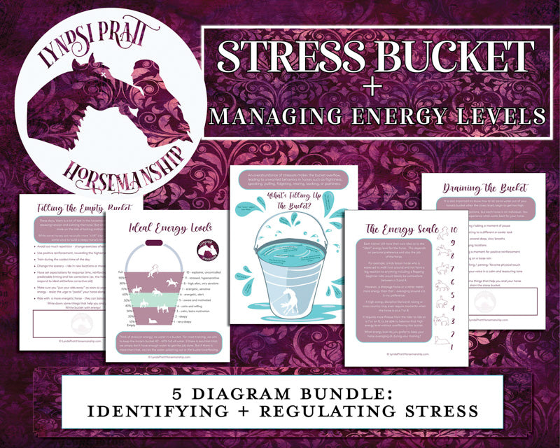 The Stress Bucket + Energy Levels Bundle (Horsemanship by Lyndsi)