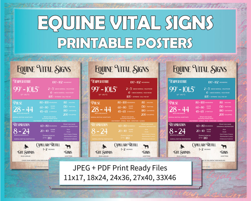 Equine Vital Signs TPR Horse Poster Bundle (Printable)