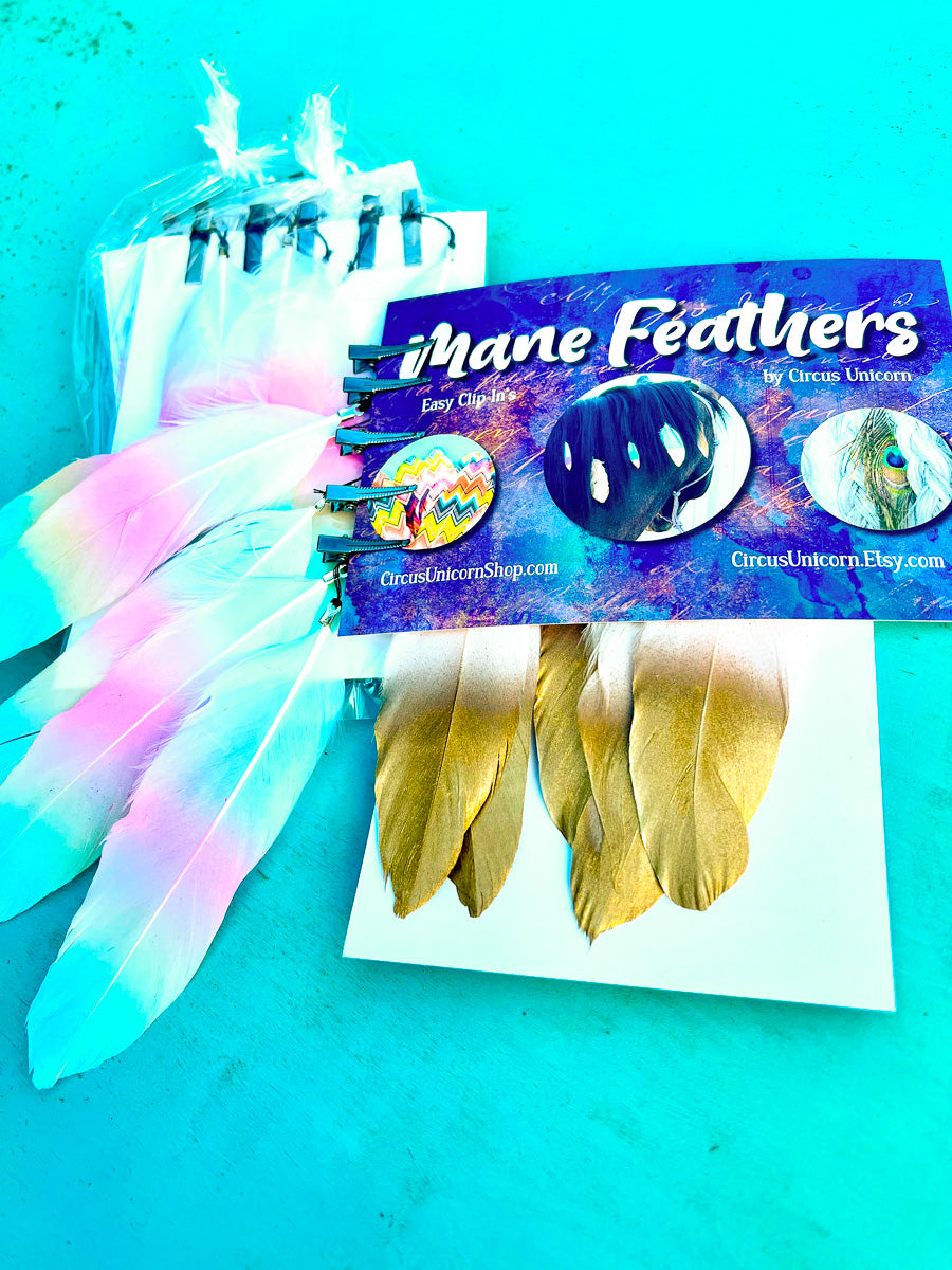 Mane Feathers