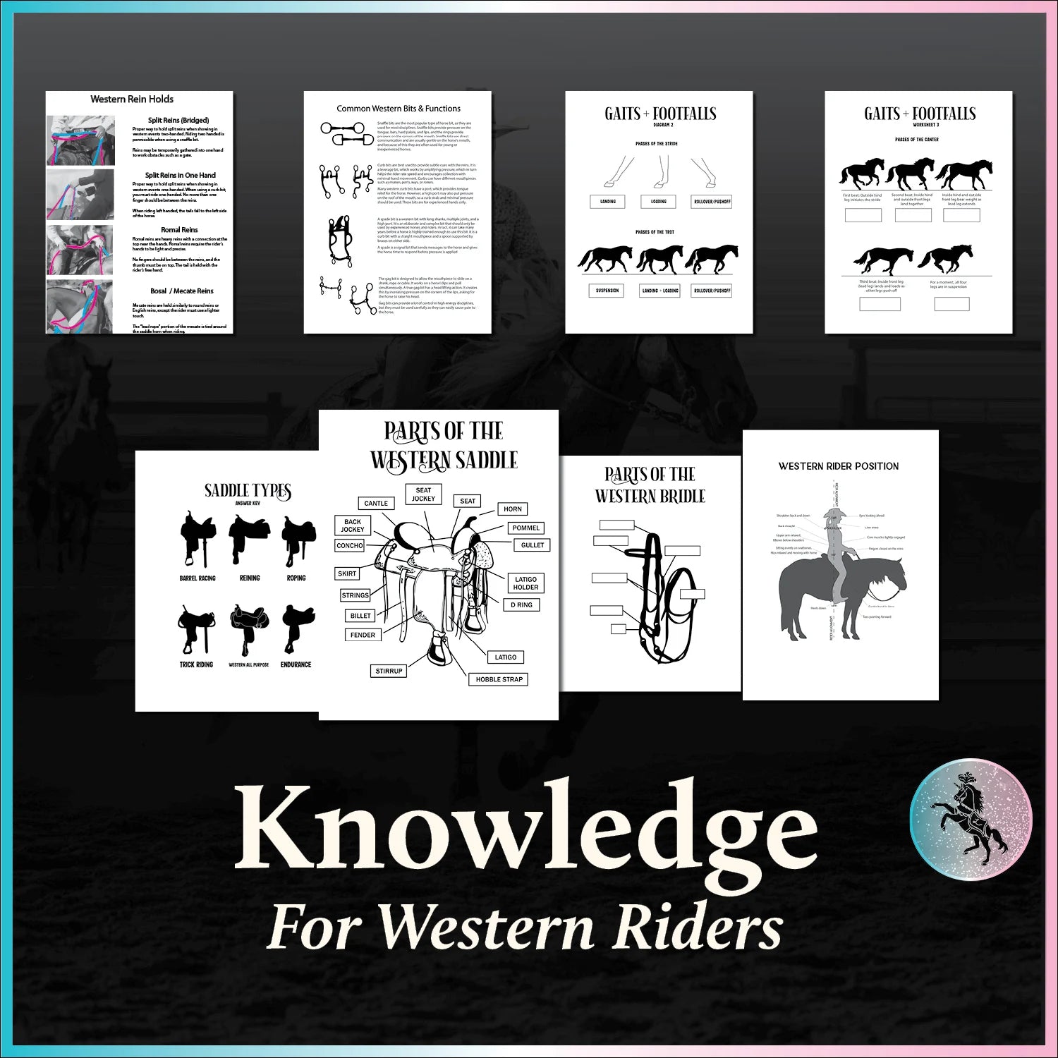 Western Riding Lesson Collection