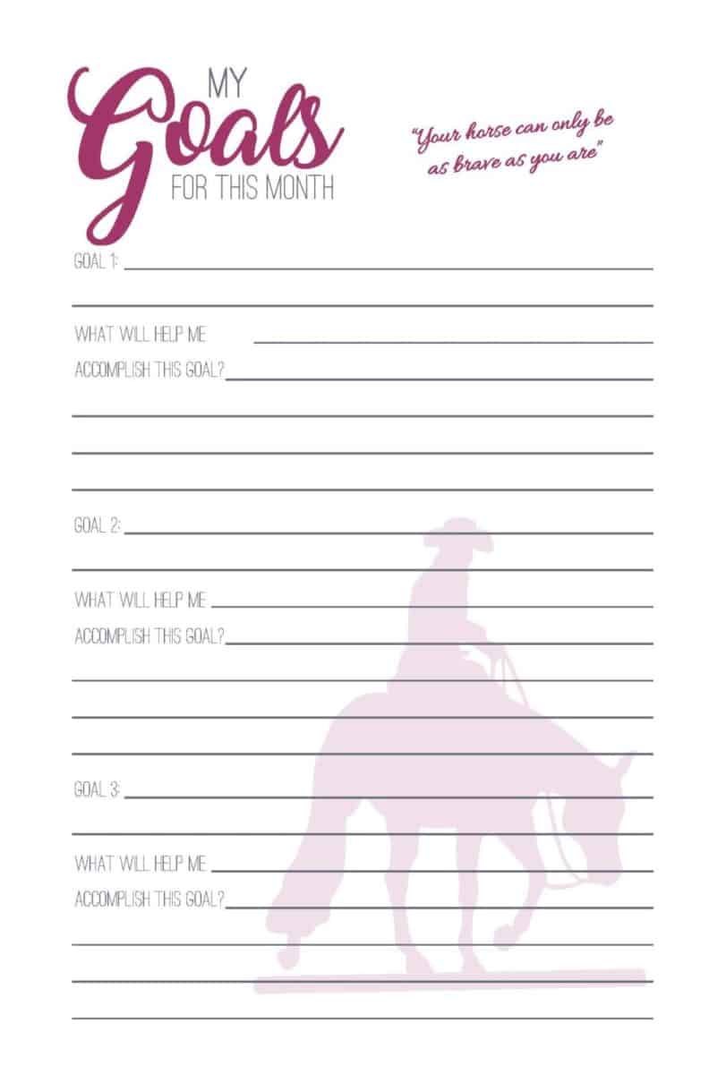 The All Around Rider's Journal - PDF