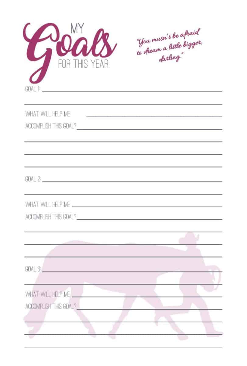 The All Around Rider's Journal - PDF