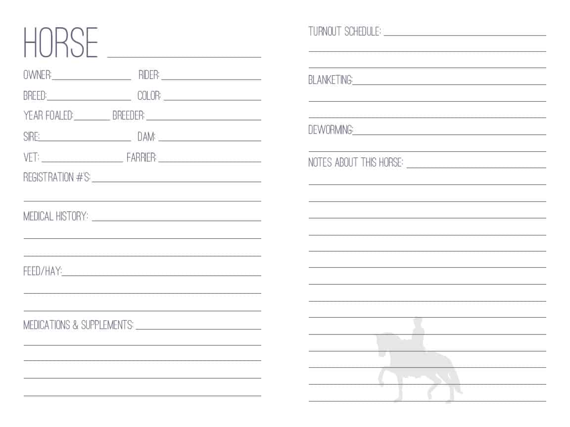 The Barn Manager's Log Book - PDF