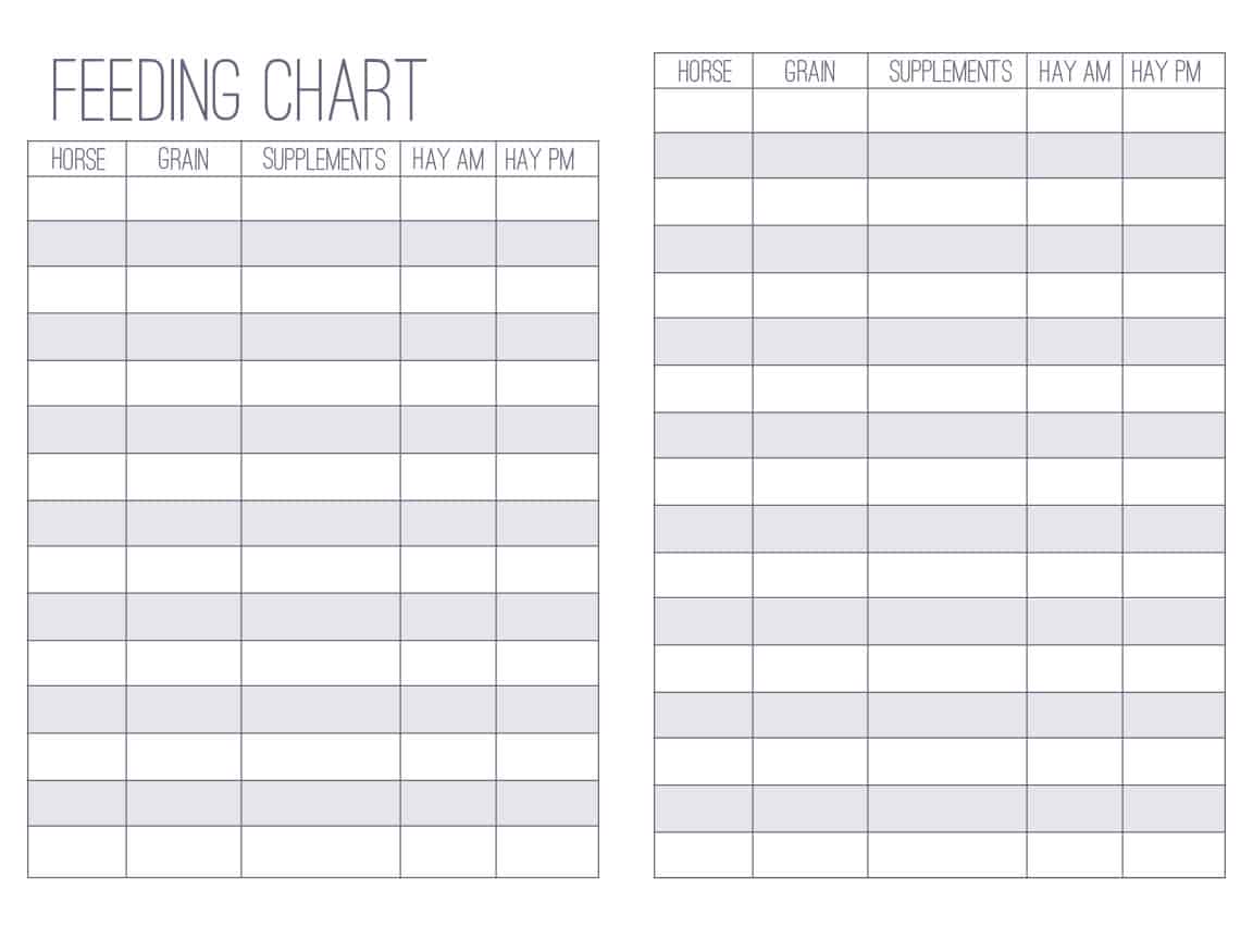 The Barn Manager's Log Book - PDF