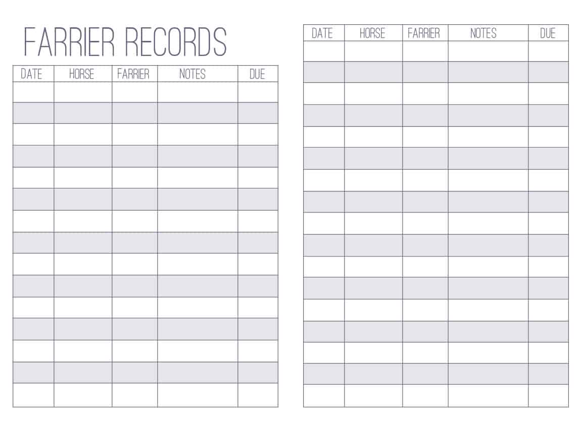 The Barn Manager's Log Book - PDF