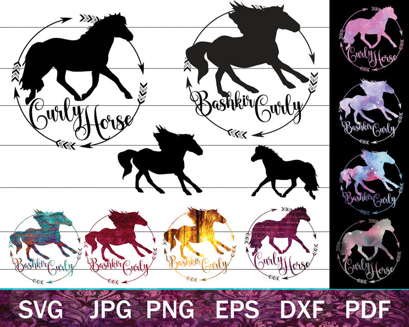 Bashkir Curly Horse SVG Bundle