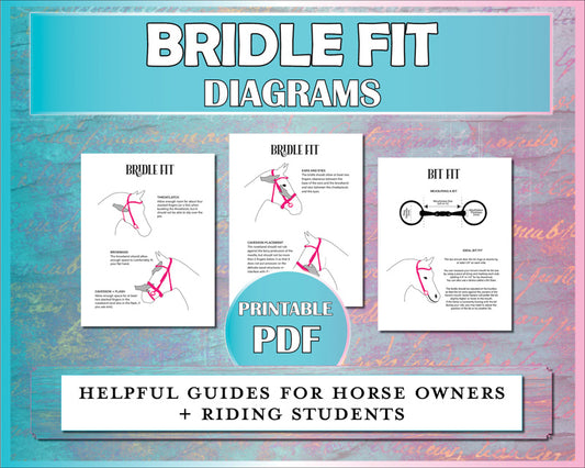Bridle fitting diagrams for horse owners and riding students showing bridle placement and bit measuring.