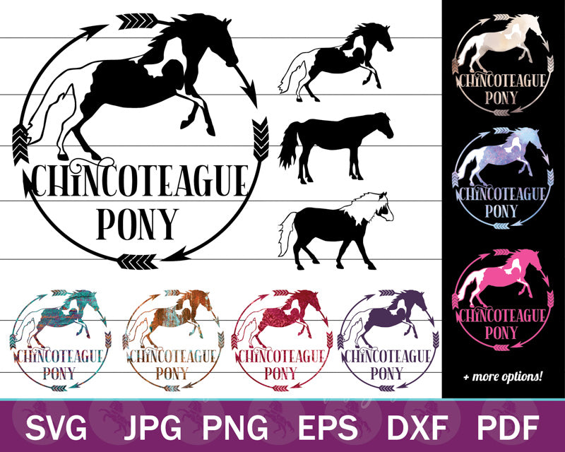 Chincoteague Pony SVG PNG Bundle