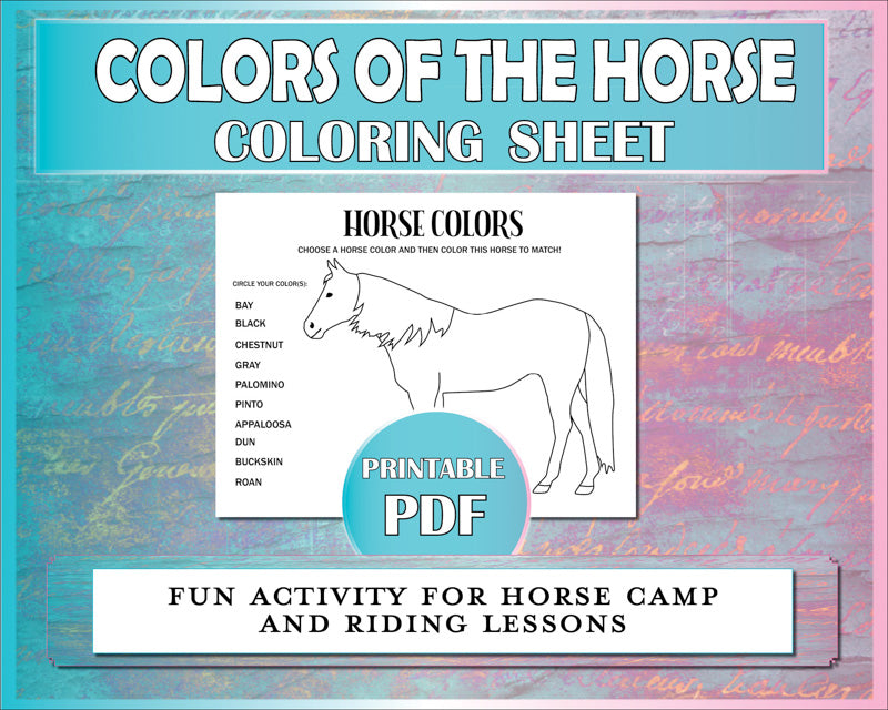 Horse coloring sheet for horseback riding students to learn the coat colors of the horse.