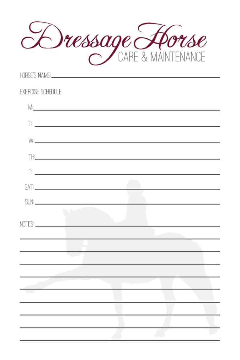 The Dressage Rider's Journal - PDF