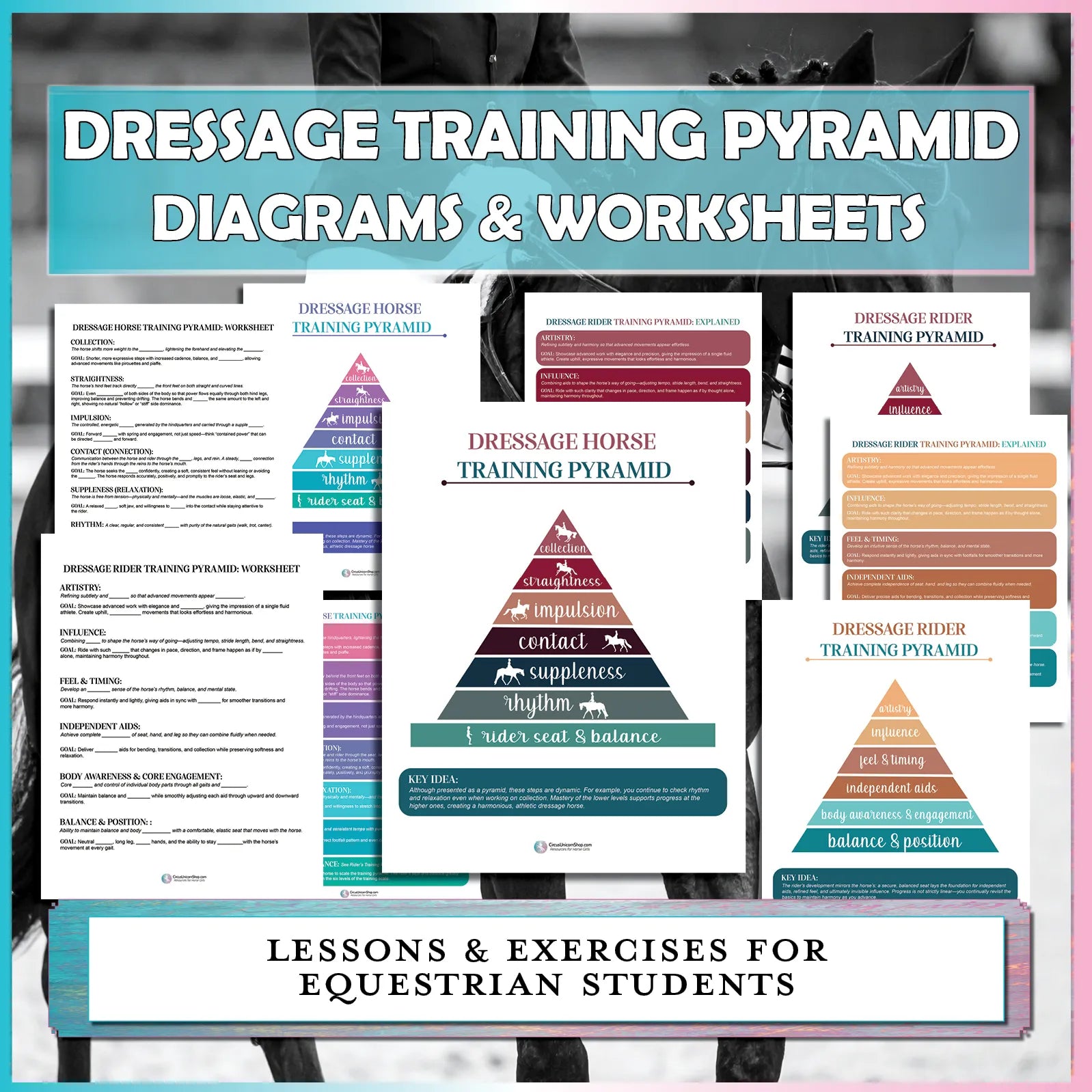 Dressage Training Scale Diagram & Worksheet Bundle