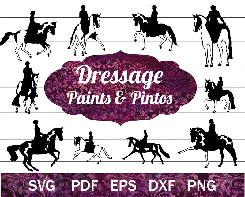 Dressage Paint Horse SVG Bundle