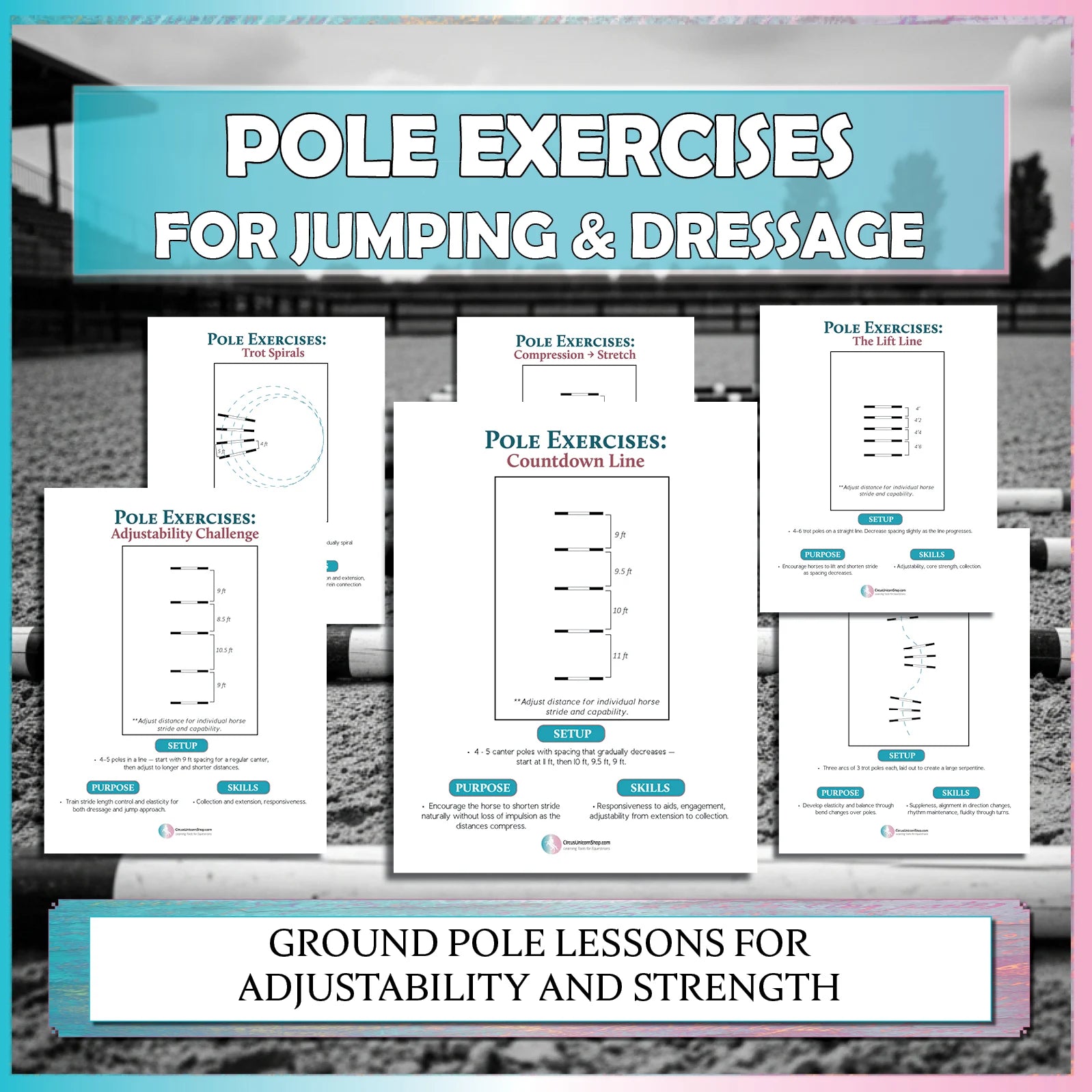 Pole Exercises for Jumping & Dressage