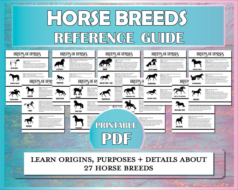 Horse breeds diagrams for riding students to learn characteristics and origins of many breeds of horses.