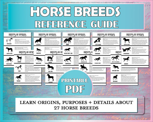 Horse breeds diagrams for riding students to learn characteristics and origins of many breeds of horses.