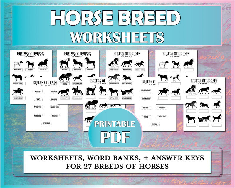 Horse worksheets to teach riding students to identify 27 horse breeds.