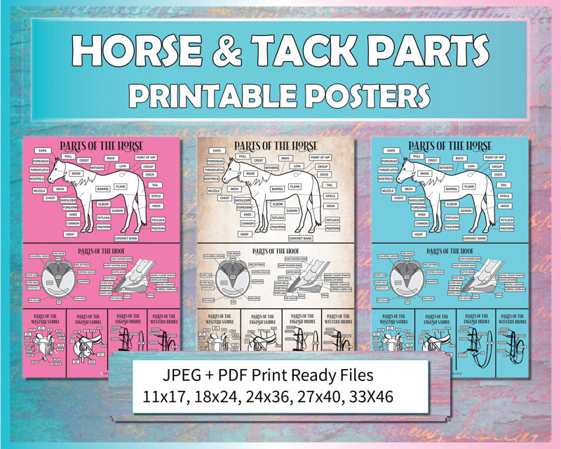 Parts of the Horse, Hoof, Saddle & Bridle Poster Bundle (Printable)