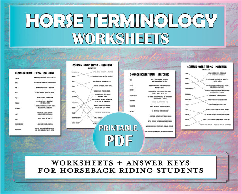 Horse worksheets for matching common horse terms with descriptions.