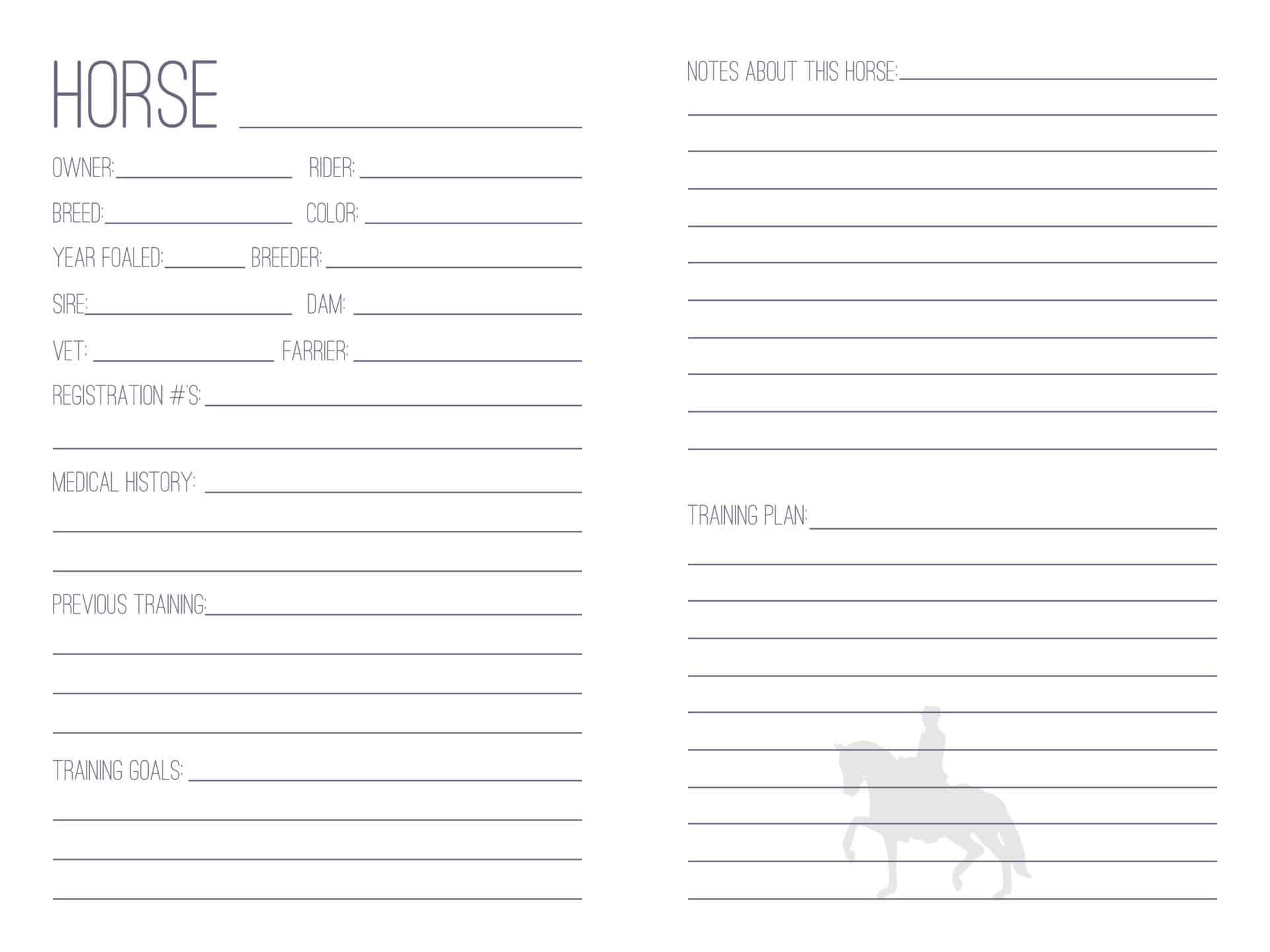 The Horse Trainer's Log Book - PDF