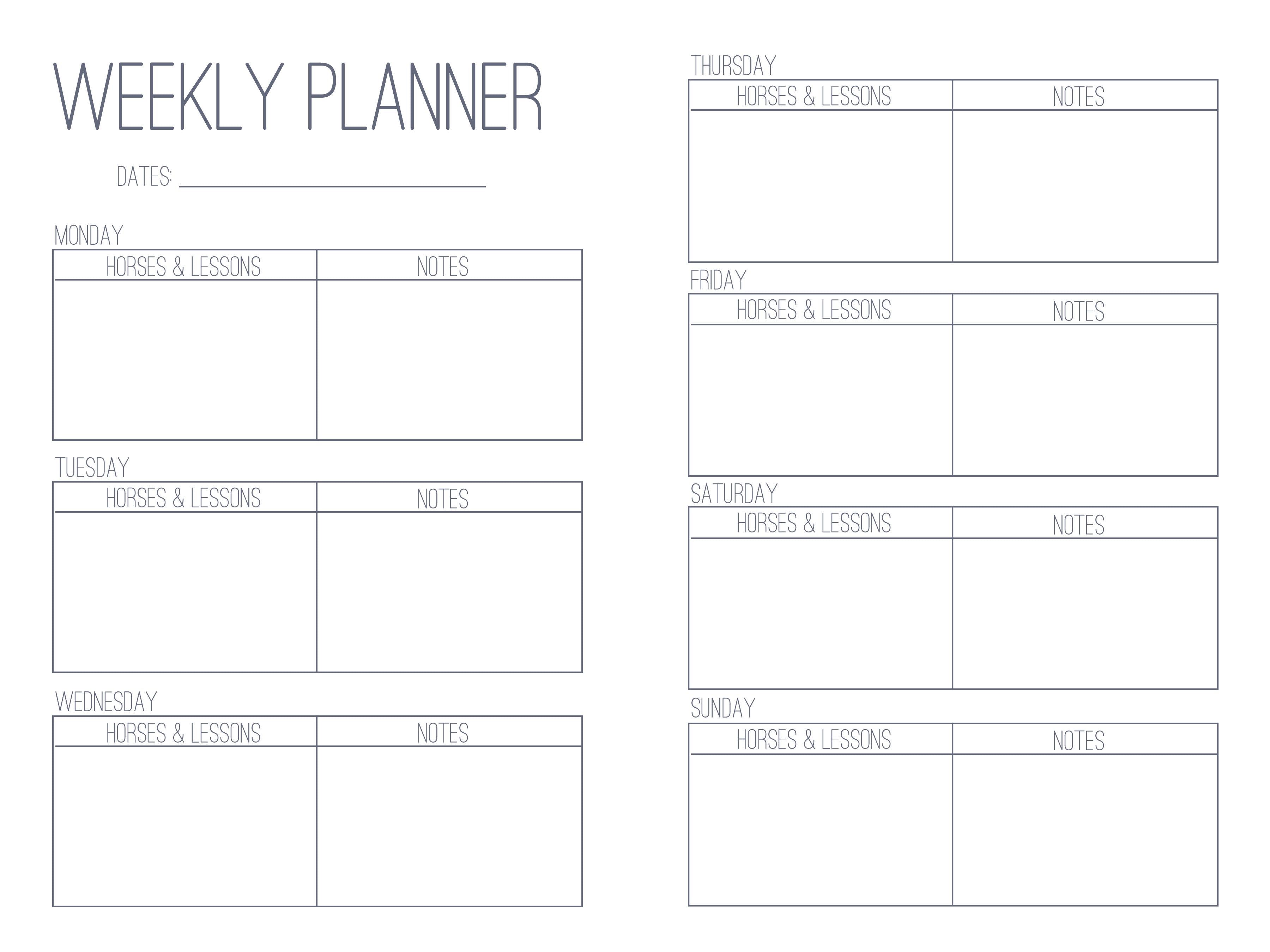 The Horse Trainer's Log Book - PDF