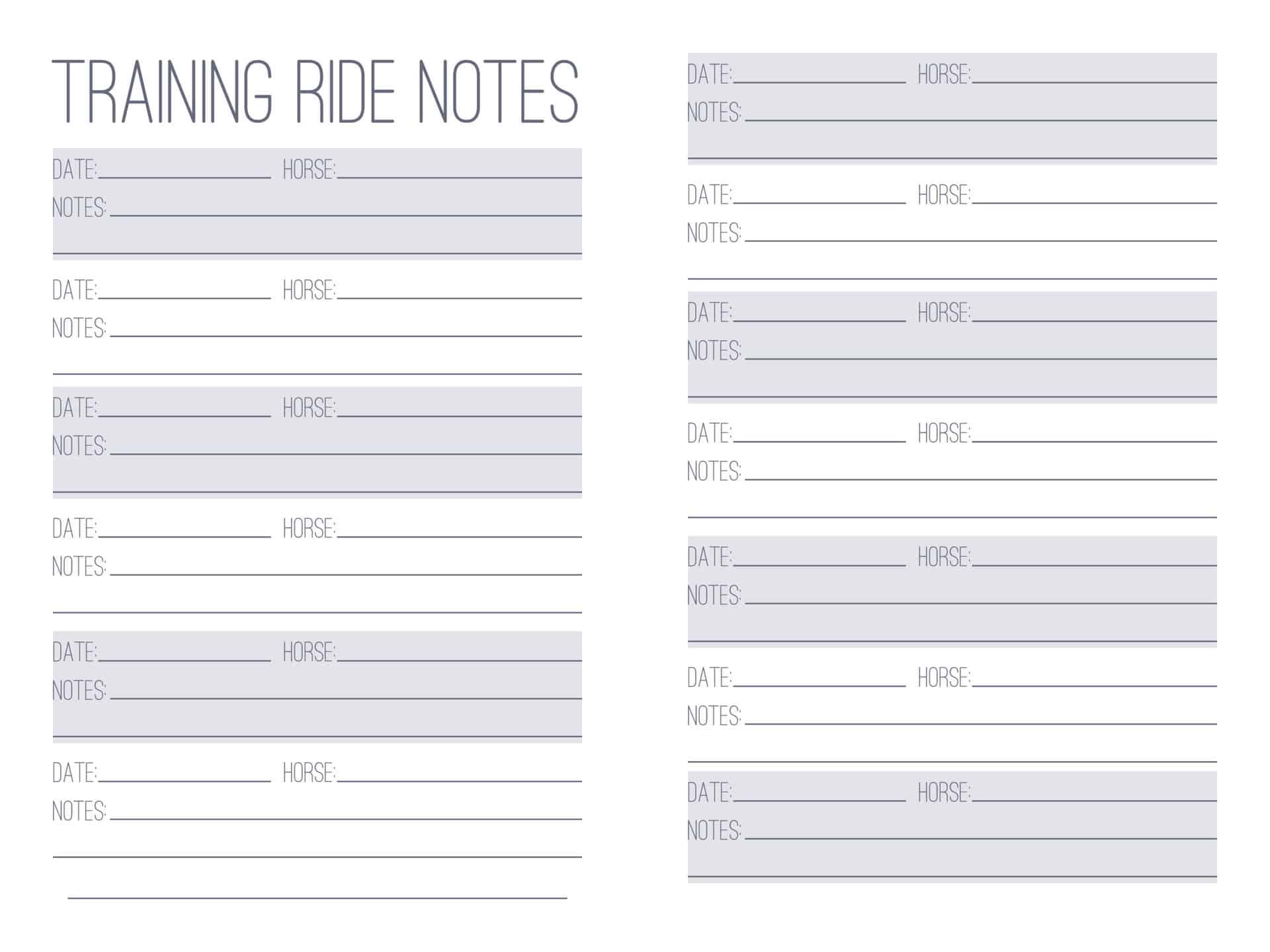 The Horse Trainer's Log Book - PDF