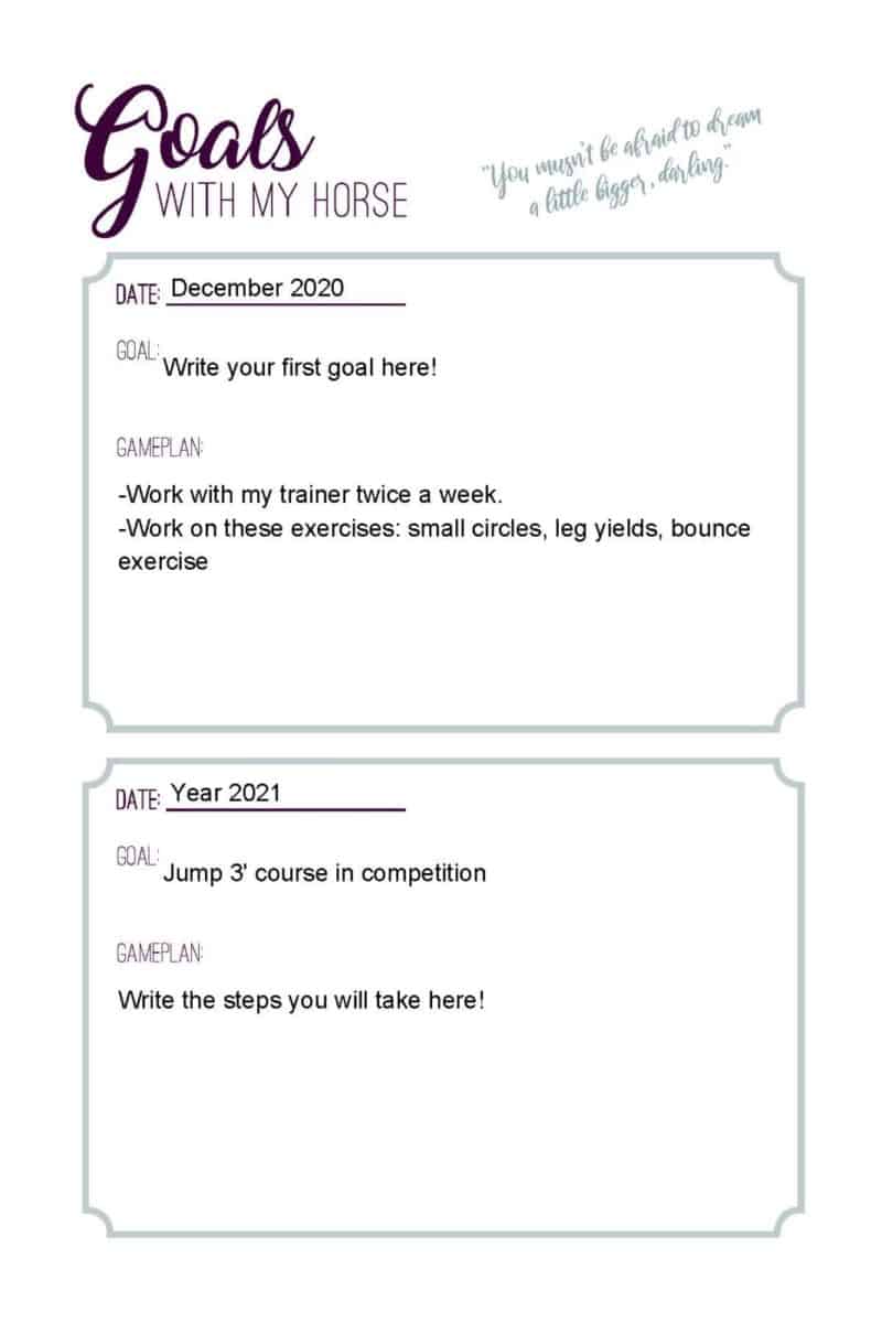 The Hunter Jumper's Journal - PDF/Digital Version