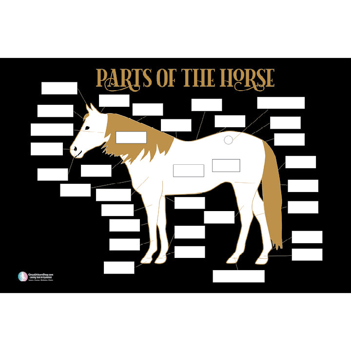 Horse Parts Poster - Custom