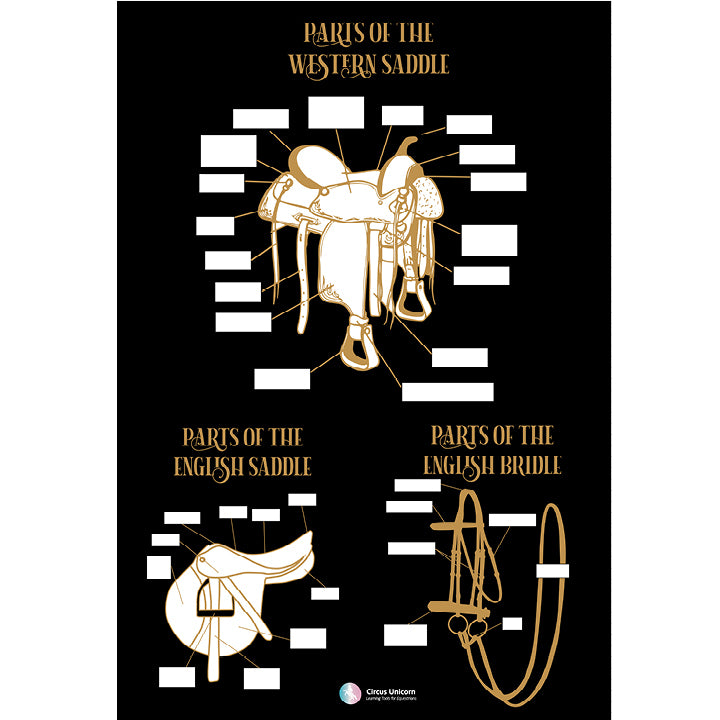 Tack Parts Poster - Custom