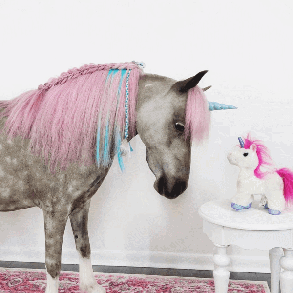 Pony Unicorn Horn