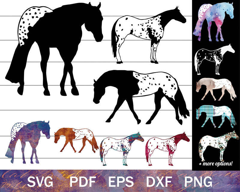 The Appaloosa Horse SVG Bundle Vol. III