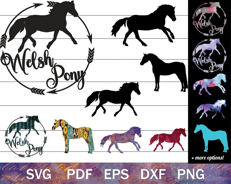 The Welsh Pony SVG Bundle