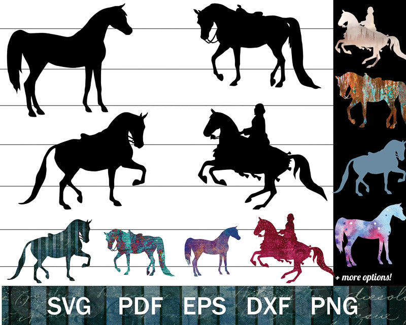 Arabian Horse Show SVG Bundle