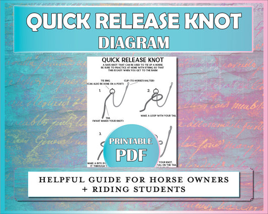 How to Tie A Horse Safely - Diagram for horse owners and riding students to tie a quick release knot step by step.