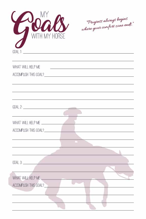 The Reiner's Journal - PDF