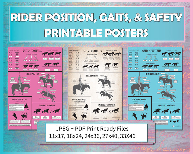 Rider Position, Gaits, & Safety Horse Poster Bundle (Printable)