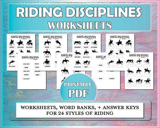 Horse worksheets for teaching riding students to identify riding disciplines / styles of horseback riding.