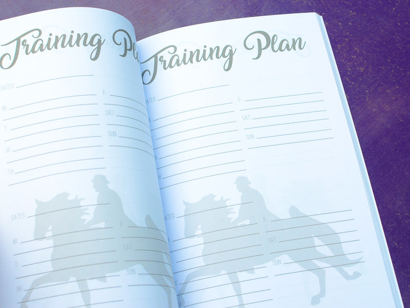 The Saddleseat Journal