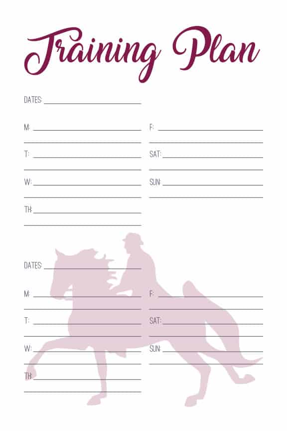 The Saddleseat Journal - PDF