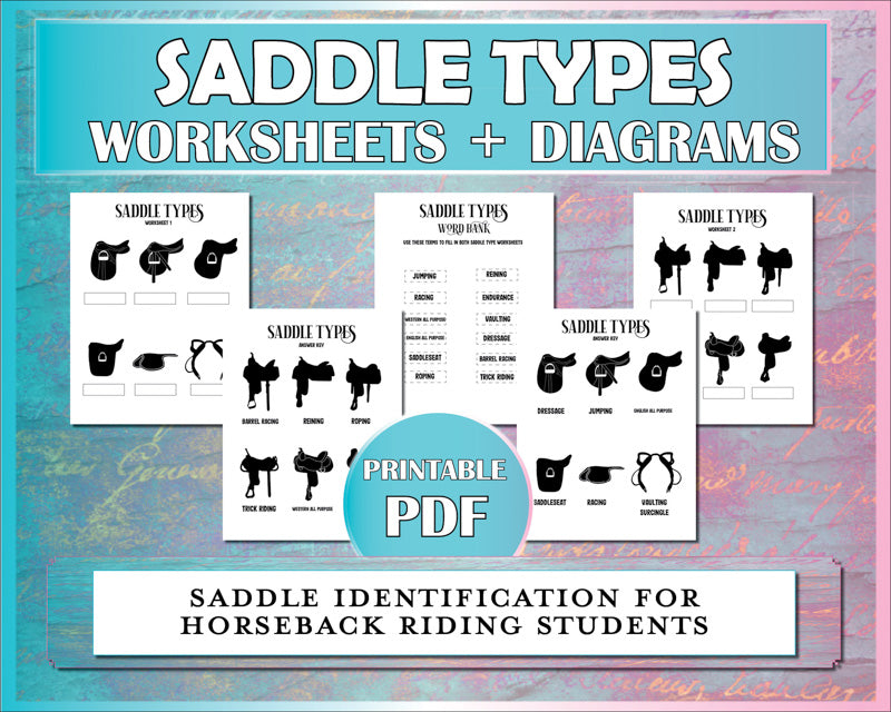 Horse worksheets to teach riding students the differences in English and western saddle types and how to identify them.